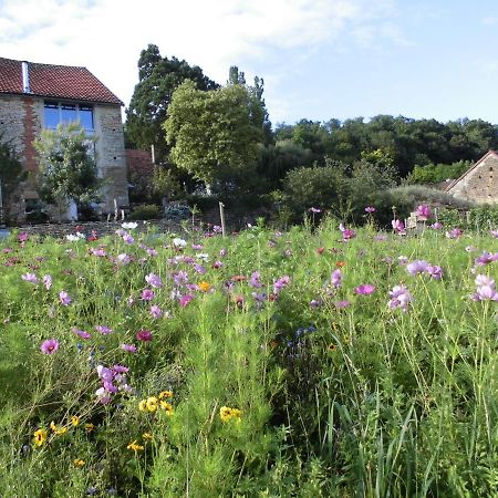 Vineyard Garden Studio Mont-Saint-Jean  Zewnętrze zdjęcie
