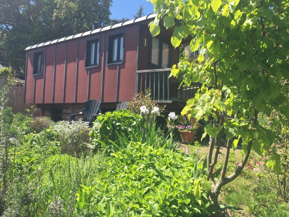 Vineyard Garden Studio Mont-Saint-Jean  Zewnętrze zdjęcie